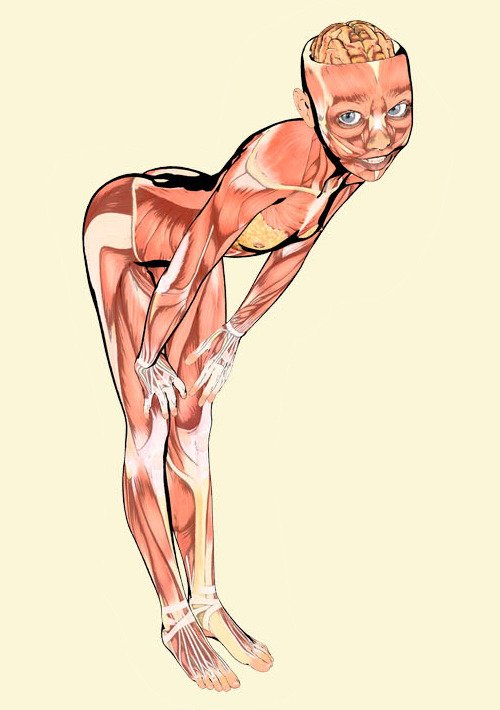 bent over skinless poser figure with skull top removed